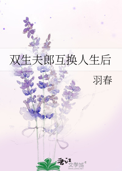  双生夫郎互换人生后